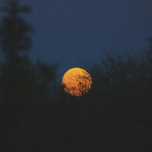 男男裸体视频网站
