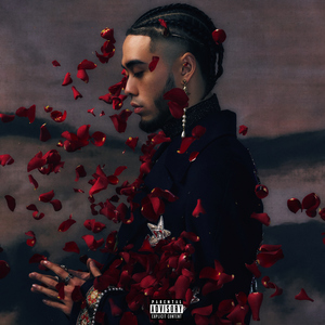 男男裸体视频网站
