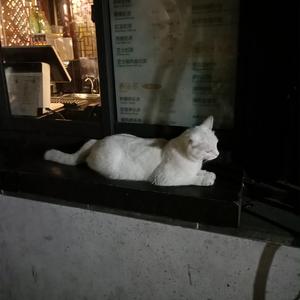 男男裸体视频网站
