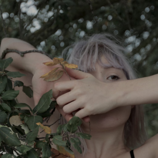 男男裸体视频网站
